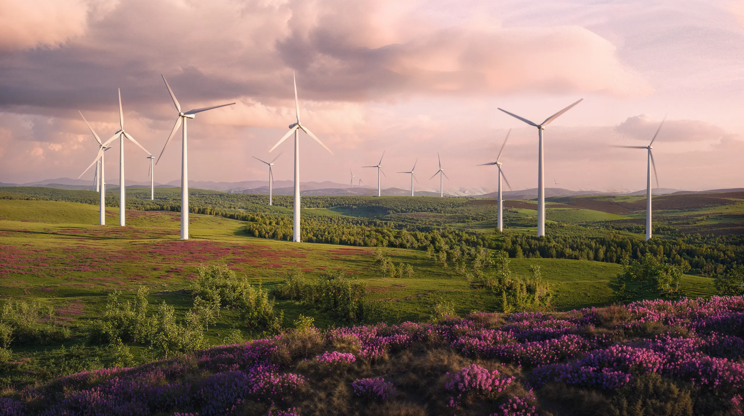 De operar el Mercado Eléctrico Mayorista a gobernar el riesgo económico