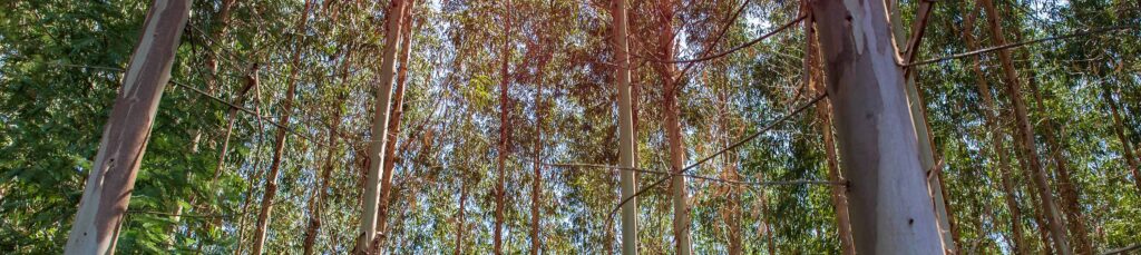 AdobeStock_386473867+