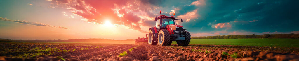 AdobeStock_721535969_Baja+