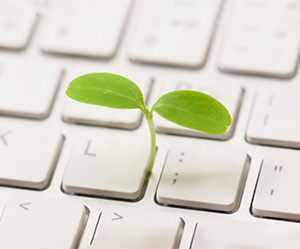 A digitalização da cadeia de abastecimento como motor da sustentabilidade