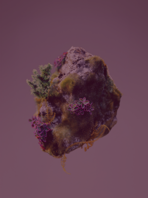 EUDR: Technology and data for transparent and sustainable supply chains